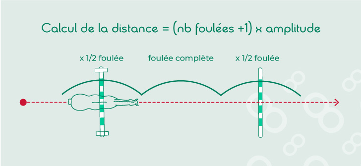 Distance entre deux obstacles au galop