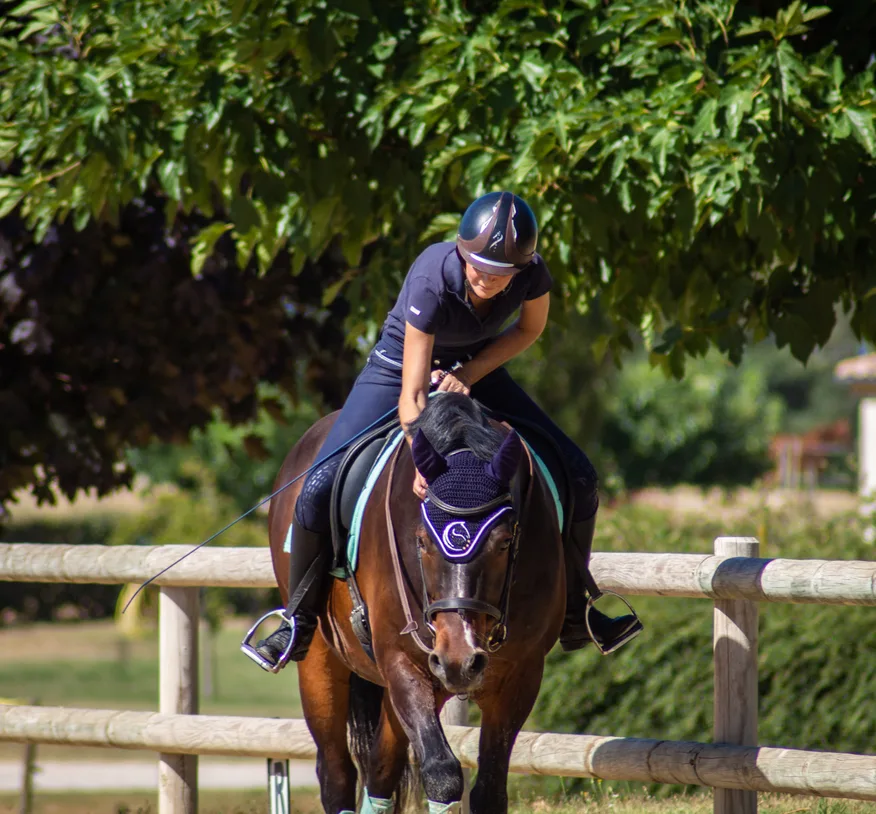 Une cavalière au travail avec son cheval
