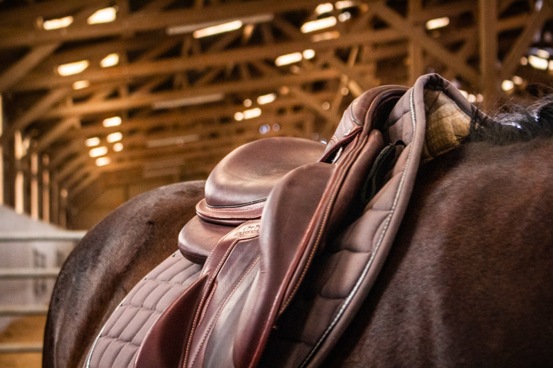 Contacter Appaloo Equestrian