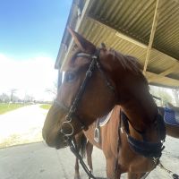 camille2310