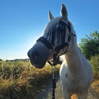 Léa . 