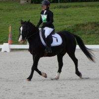 popy and horse