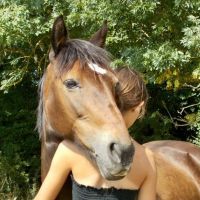 equimoove 