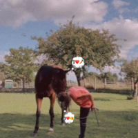 étoile_andme
