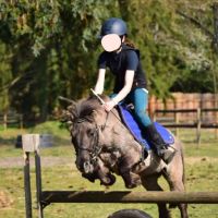 ~chacha jumping~🐎💞