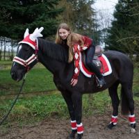 ❤️🐴Loulou🐴❤️