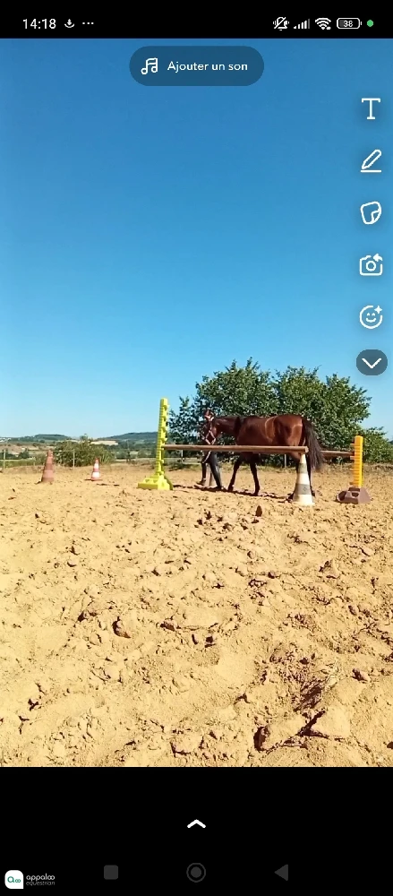 1752927843743007.jpg