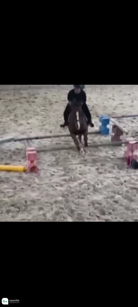 1760086930512401.jpg