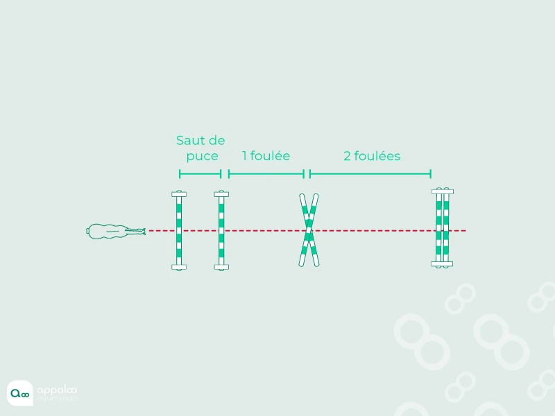 12.-Ligne-de-mécanisation.jpg