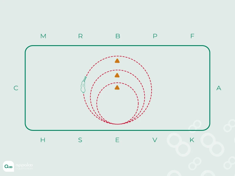 26-Variations-de-l’amplitude.jpg