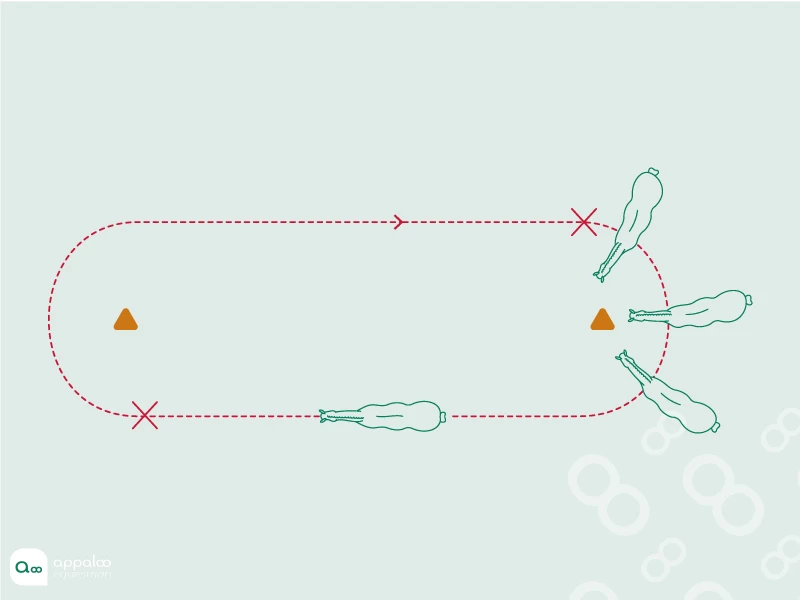arret-epaule-deplacement-hanche.jpg