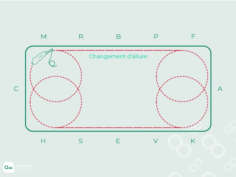 cercle-cercle-et-encore-cercle.jpg