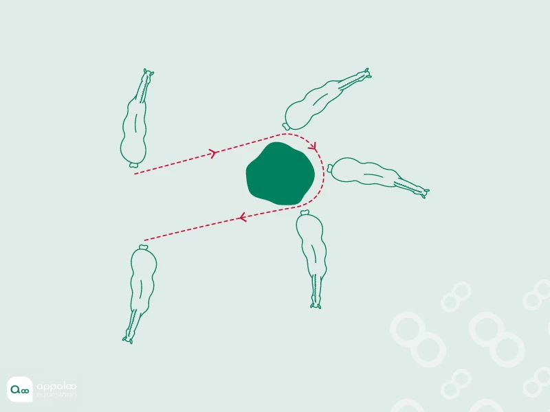 demie-pirouette-autour-dun-arbre.jpg