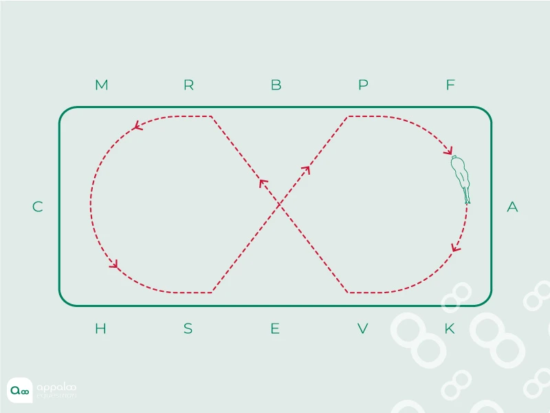 demis-cercles-diagonales.jpg