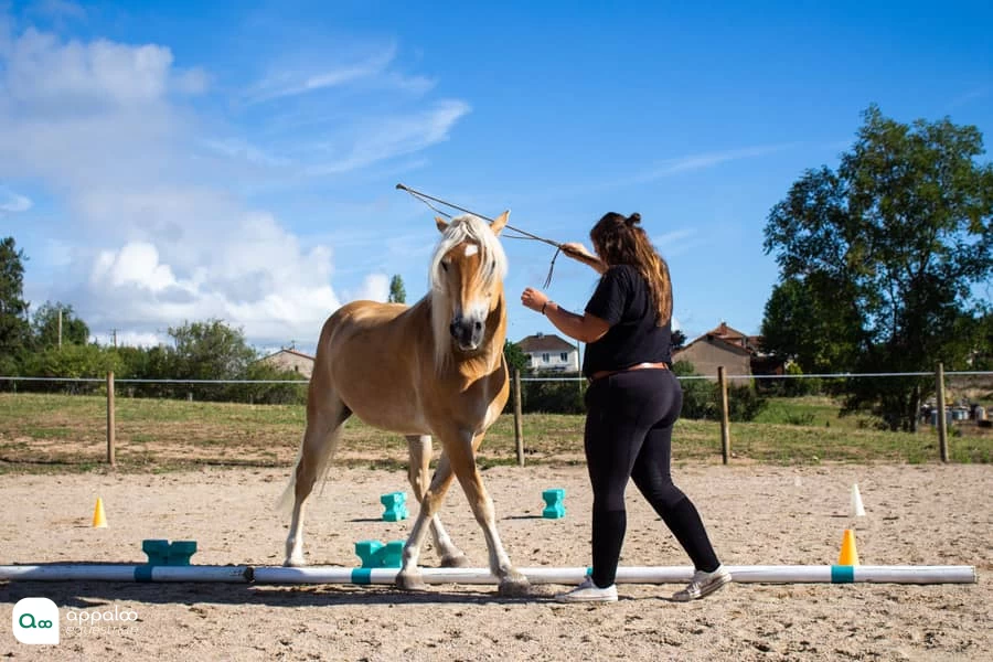 deplacement-lateral-equifeel.jpg