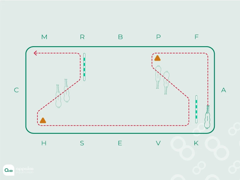 deplacement-lateral-largeur.jpg