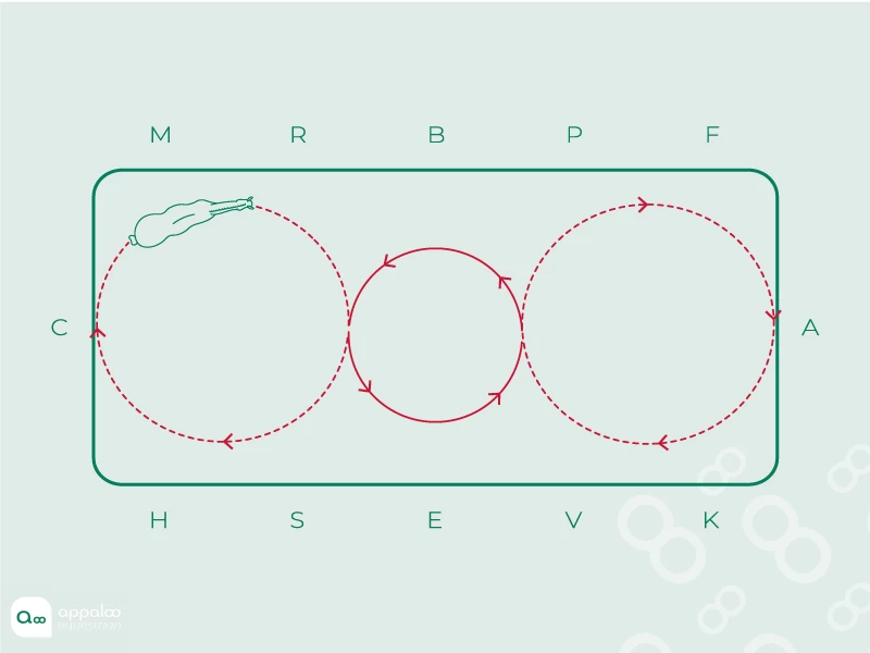 double-cercle-et-volte.jpg