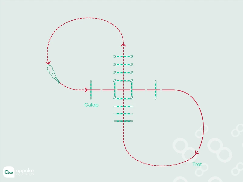 figure-of-8.jpg