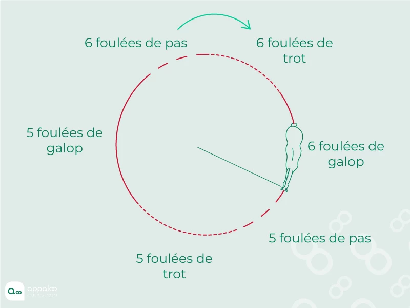 jeu-des-transitions-2.jpg