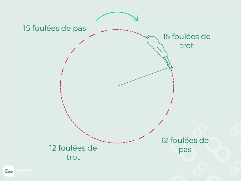 jeu-des-transitions.jpg