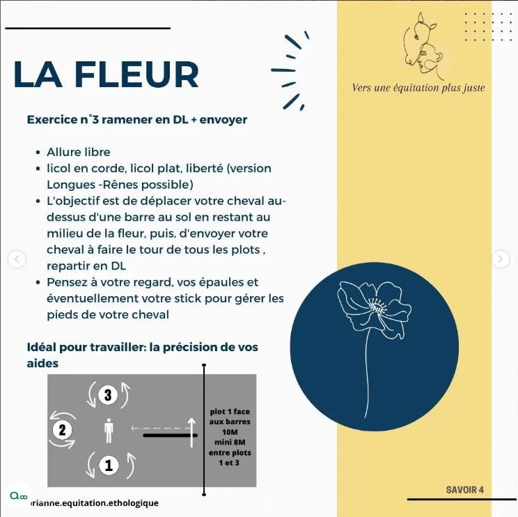 La fleur.JPG