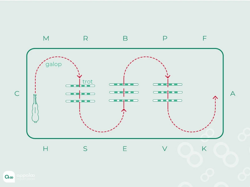 La-serpentine-aux-transitions.jpg