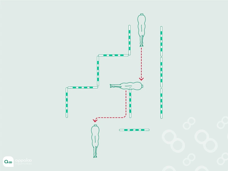 labyrinthe-lateral.jpg