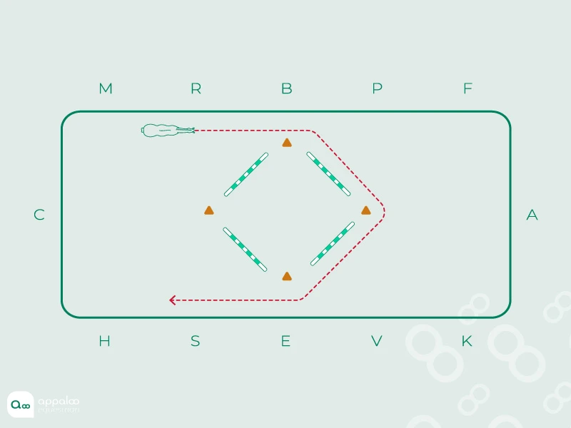 le-cercle-carre.jpg