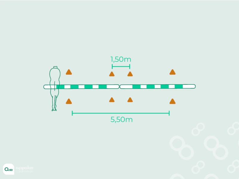 le-controle-lateral.jpg