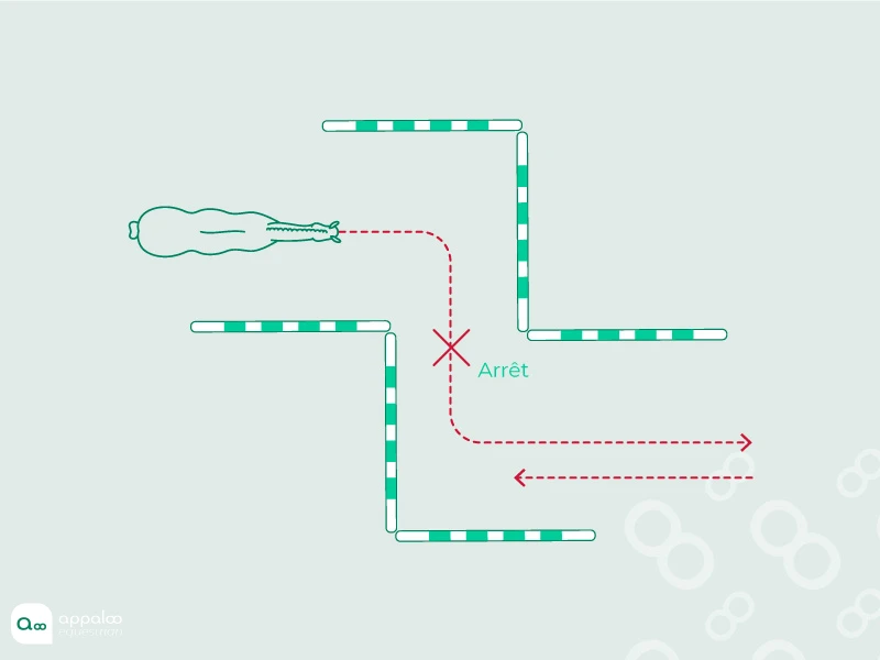 le-labyrinthe-travail-a-pied.jpg