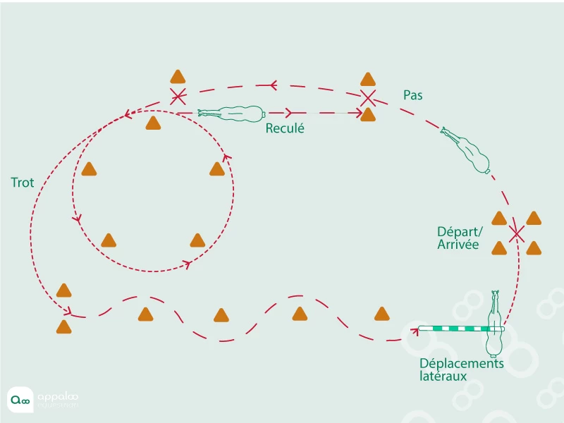 le-parcours-darrets.jpg