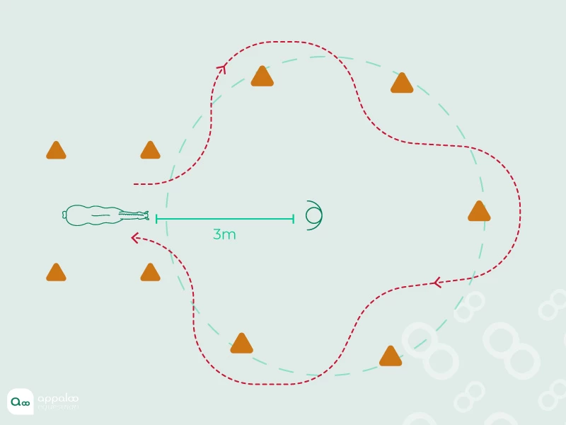 Le-slalom-cerclé.jpg