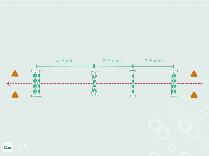 Ligne-de-mécanisation.jpg