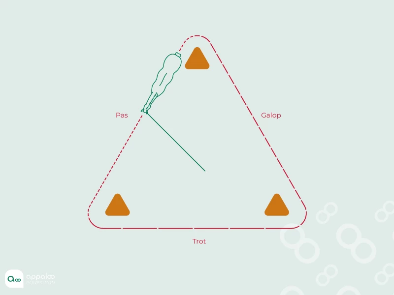 longe-triangle.jpg