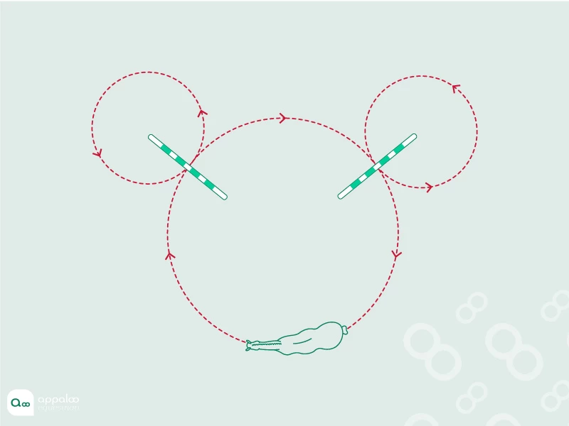 mickey.jpg