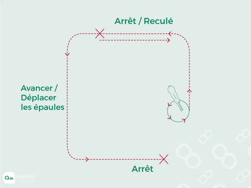 miniParcours2.jpg
