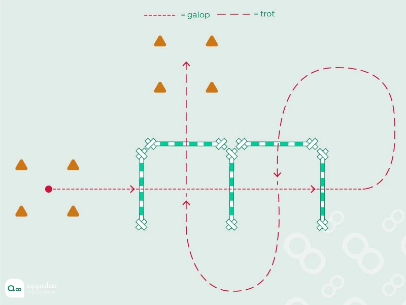 obstacleLigneDroiteMiniSerpentine.jpg