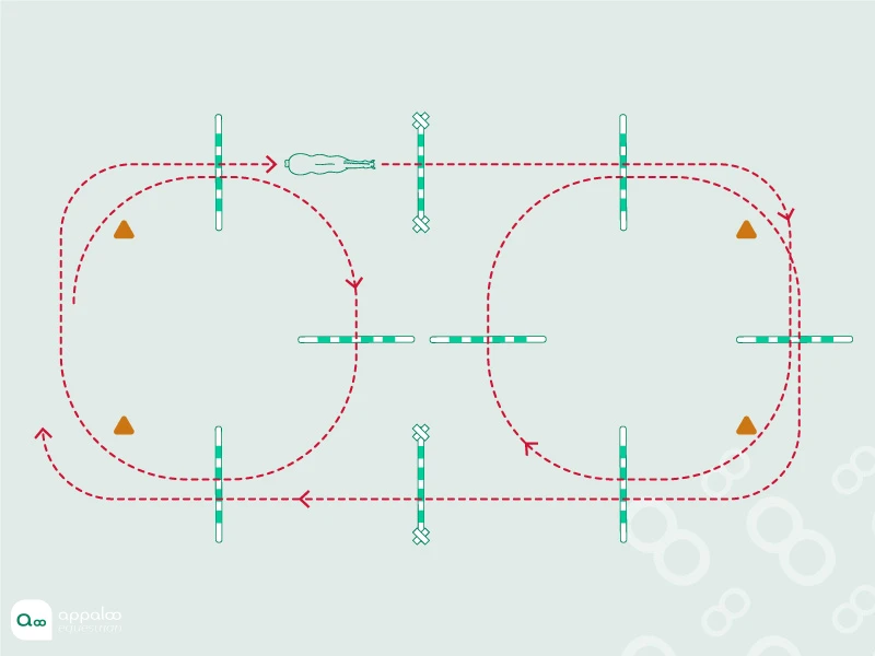 parcours-de-cercles-et-de-cavalettis.jpg