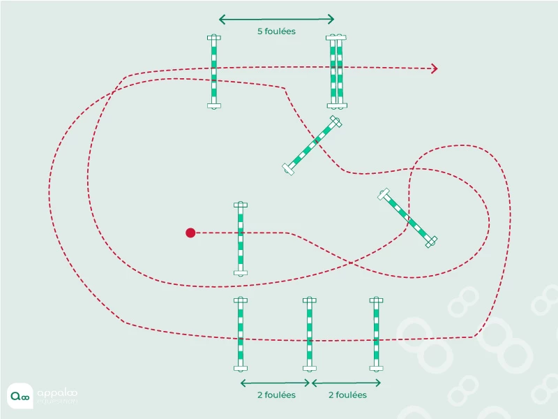 parcours-obstacle-1.jpg