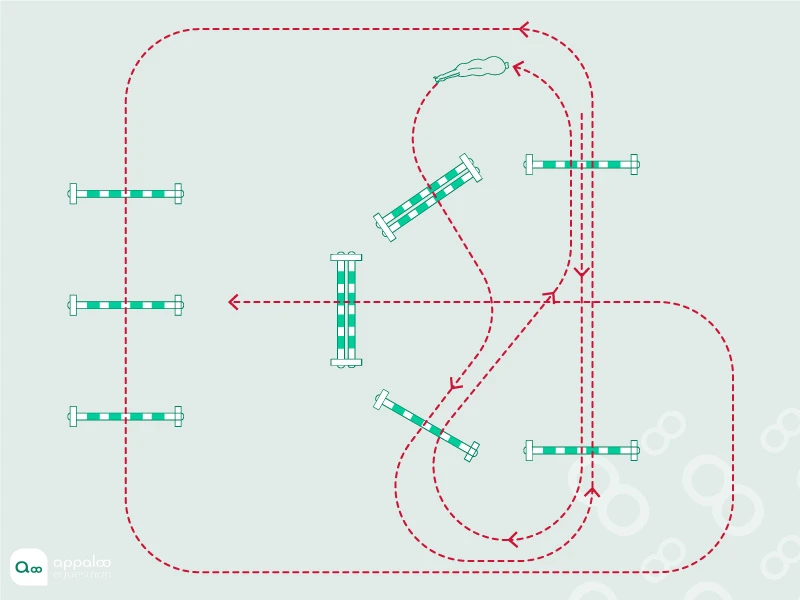 parcours-obstacle-de-maniabilite.jpg