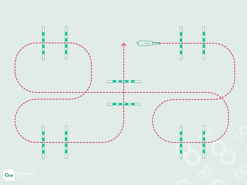 parcours-variable-barres-au-sol-cavalettis.jpg