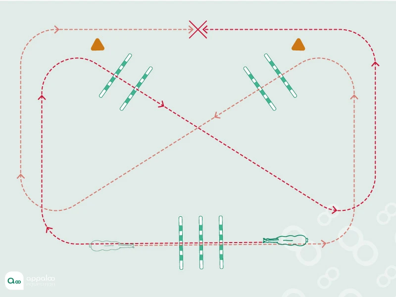 Proprioception-et-transition.jpg