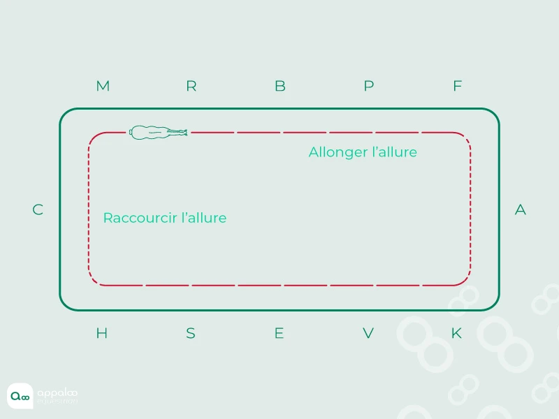 Schéma-6-Accordéon.jpg