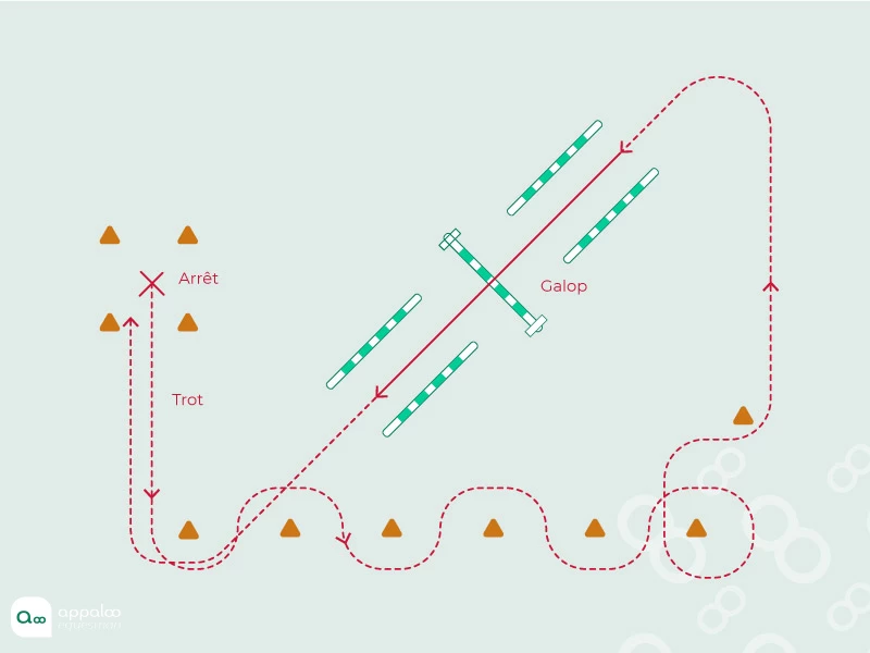 Serpent-Triangle.jpg