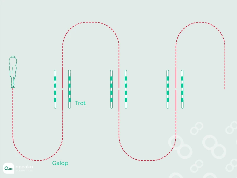 serpentine-a-4boucles-et-transitions.jpg