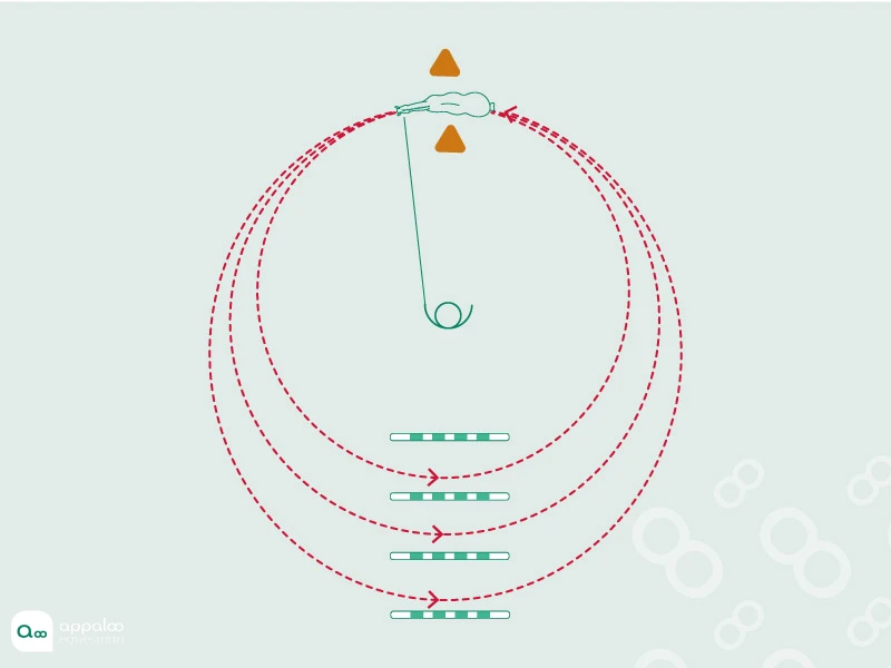 Spiral-poles.jpg