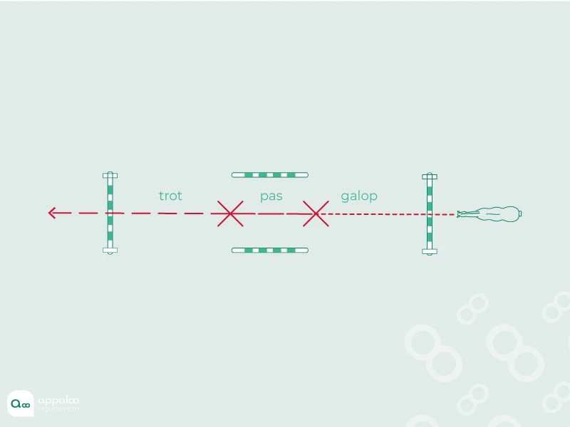 Transition-sur-une-ligne.jpg