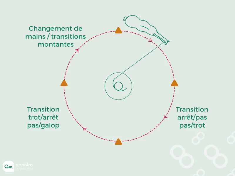 transitionChangementMainsSurCercle.jpg