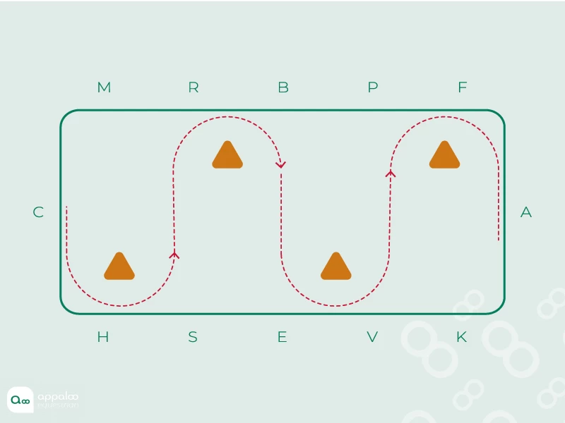 zig-zag.jpg