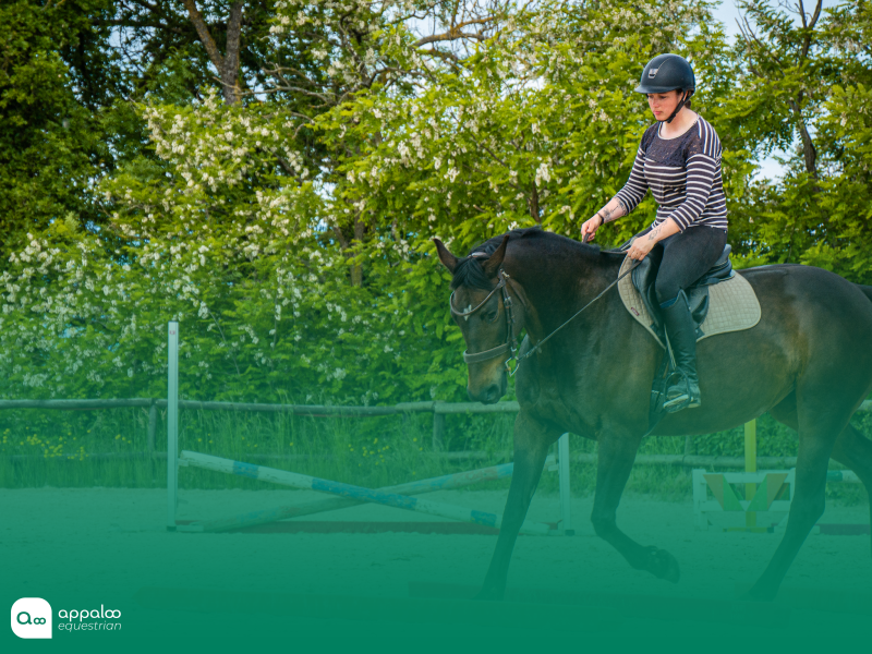 5 exercices pour un jeune cheval (avec schémas et conseils)